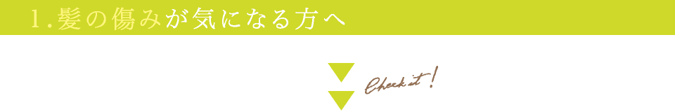 1.髪の傷みが気になる方へ